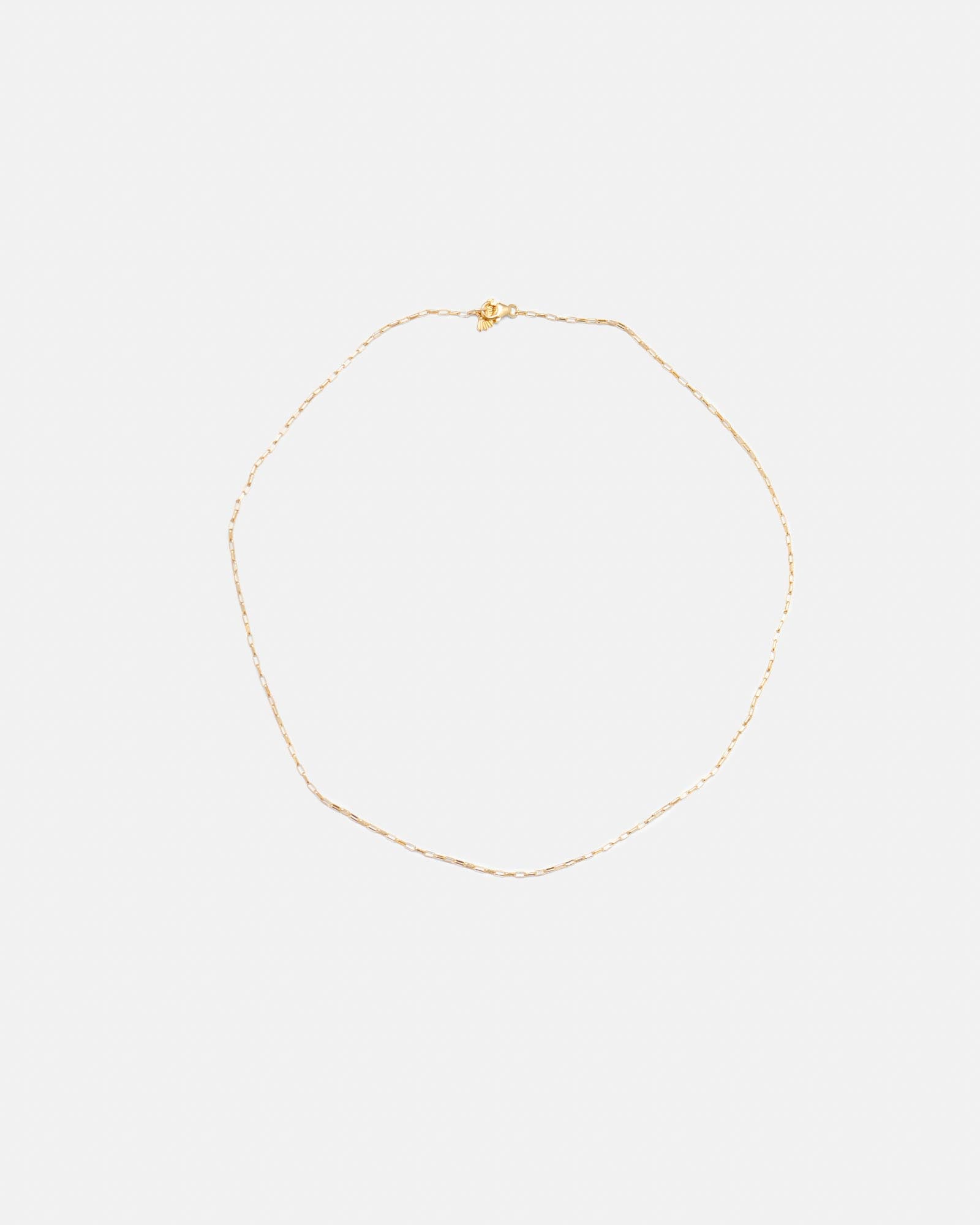 COLLAR VOGUE BOX